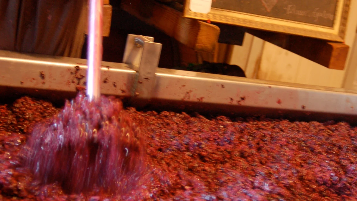 Moût et peaux de raisins rouges dans une cuve pendant la macération