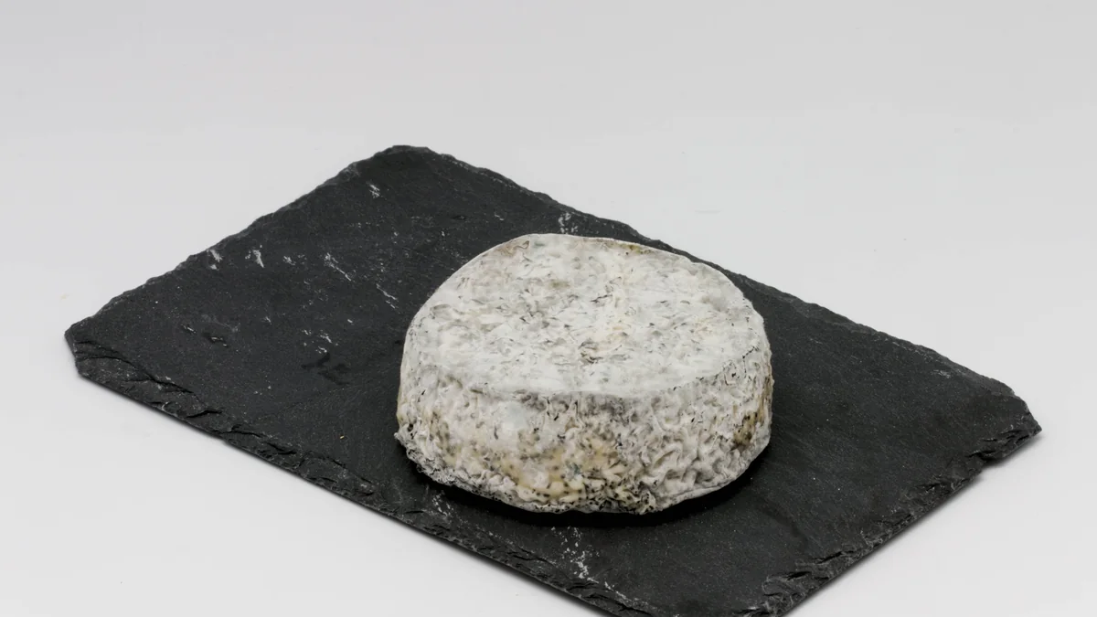Un fromage de chèvre Selles-sur-Cher posé sur une ardoise noire