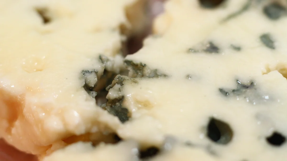 Gros plan sur la pâte persillée d’un morceau de roquefort