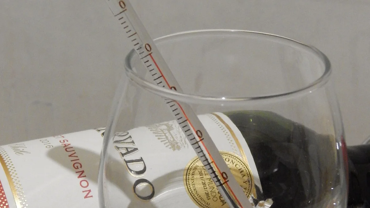Thermomètre à vin plongé dans un verre devant une bouteille